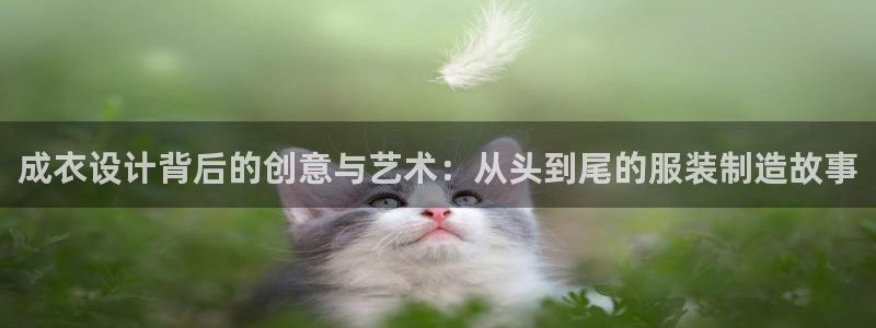 摩登7口碑