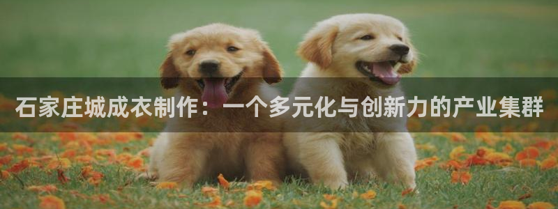 摩登7彩票平台登陆总代