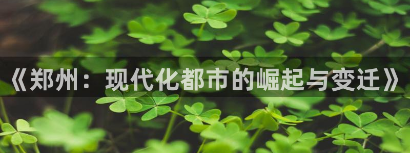 摩登招商7快22650