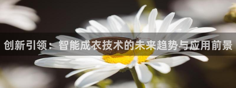 摩登6褚7O667