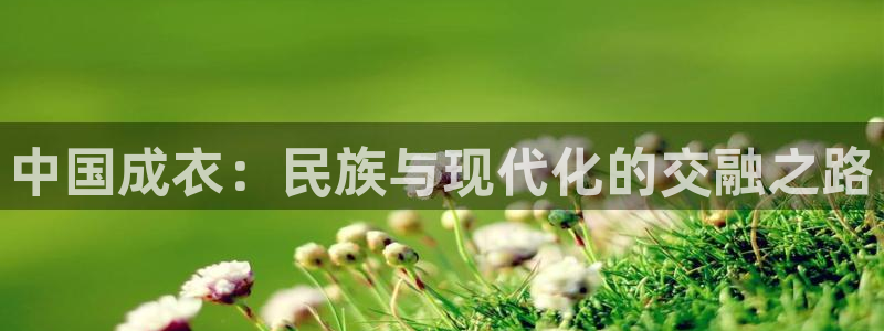 摩登3郑7O667