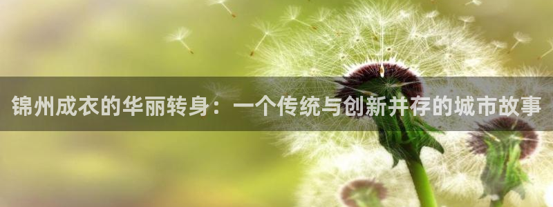 摩登4地7O667