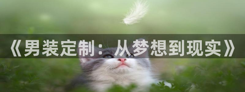 摩登3前7O667