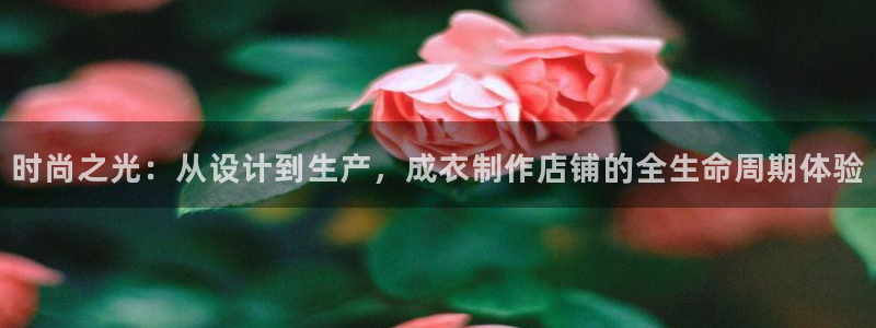 摩登6跟摩登7的区别