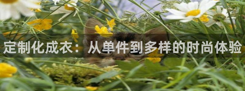摩登7招商讨333OO