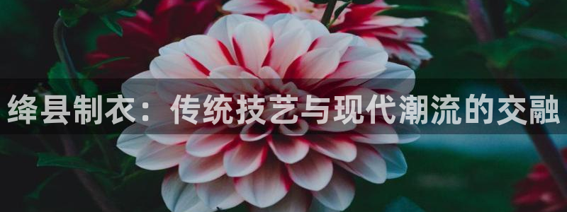 摩登7主管