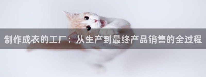摩登3郑7O667