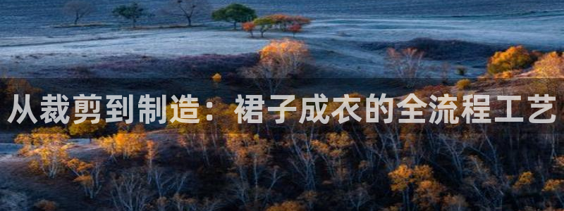 摩登4天7O667