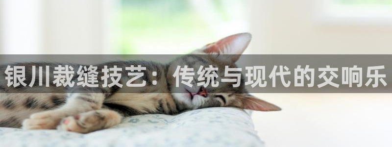 摩登6吴这7O667
