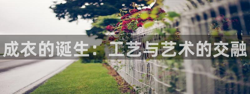 摩登5周7O667