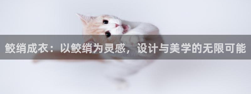 摩登7主管qq